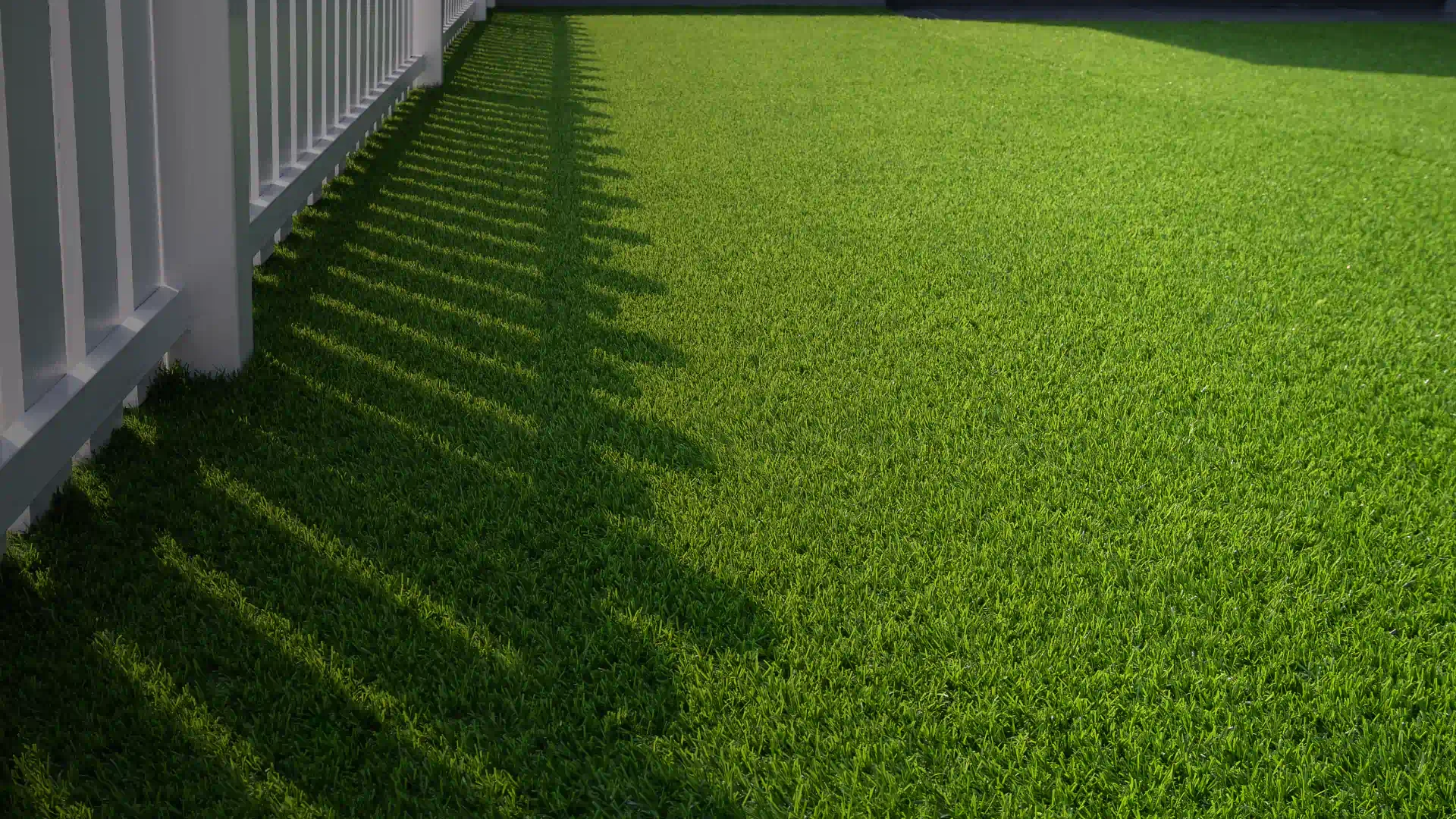 beautiful lawn space in a residential house