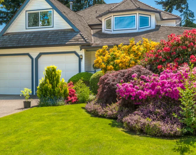 house with lawn area