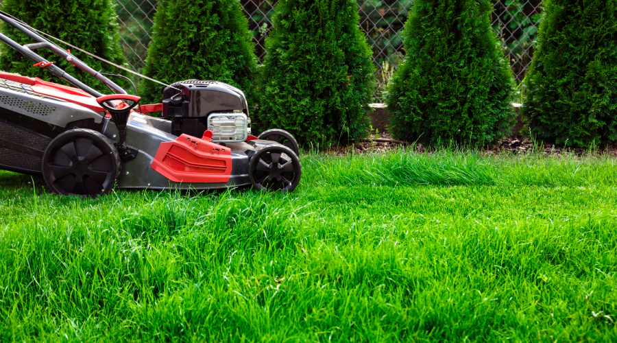 land mowing using a lawn mower