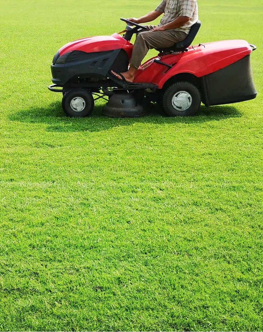 lawn mowing services