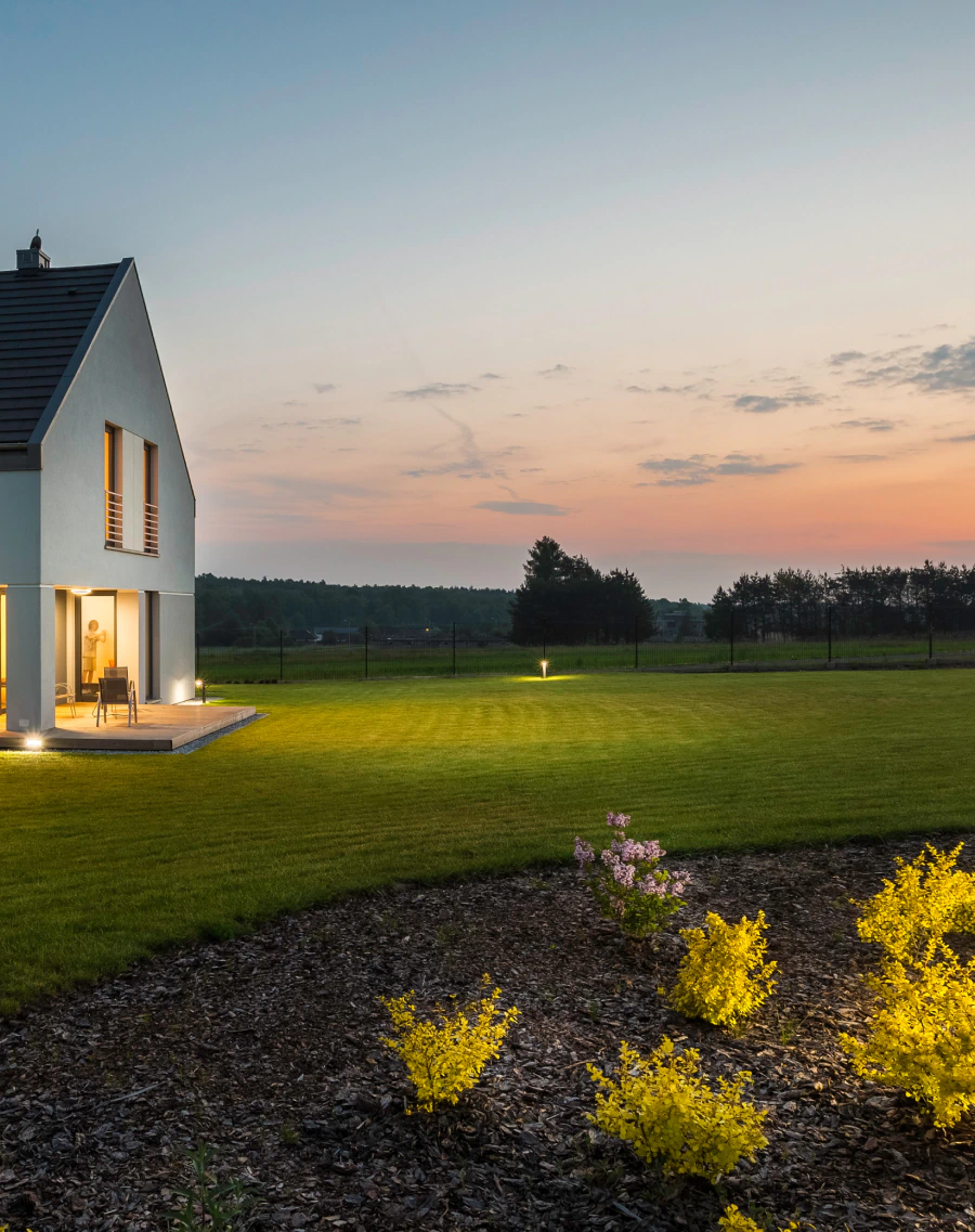 pine straw in a lawn