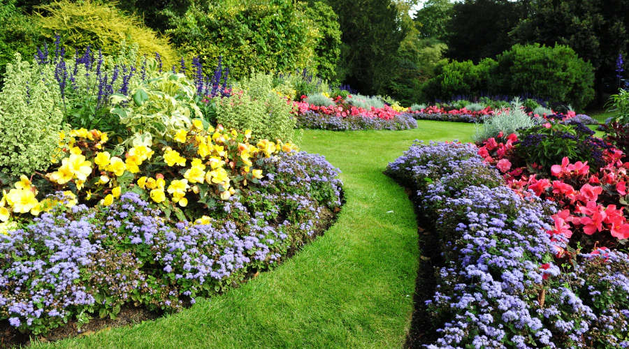 wide flowerbeds